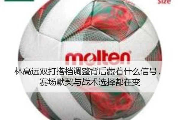林高远双打搭档调整背后藏着什么信号，赛场默契与战术选择都在变